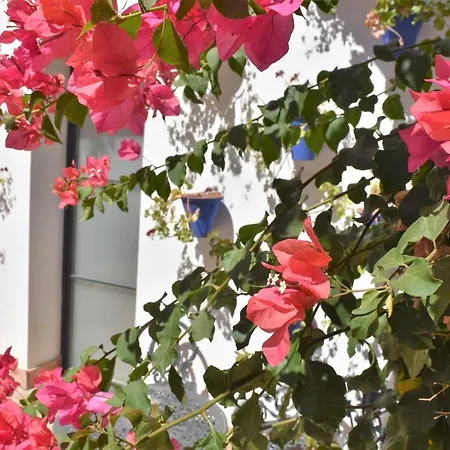 Patio San Andres -2 Llaves- * Córdoba