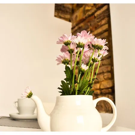 Apartamento Patio San Andrés -2 Llaves-