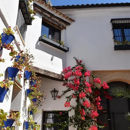 Apartment Patio San Andres -2 Llaves-