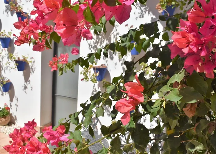 Patio San Andres -2 Llaves- * コルドバ